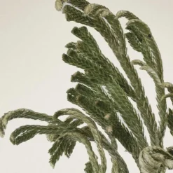 Outlet Korean Skincare|Augenpflege·Augenpflege