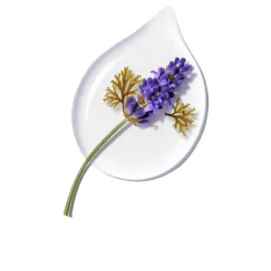 Sale Shampoo·Shampoo