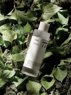 Korean Skincare|Serum & Kur ·Serum