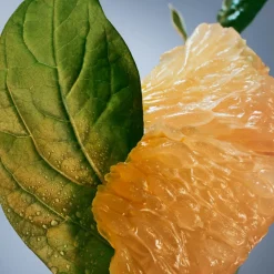 Outlet Herren Düfte·Eau De Parfum Spray