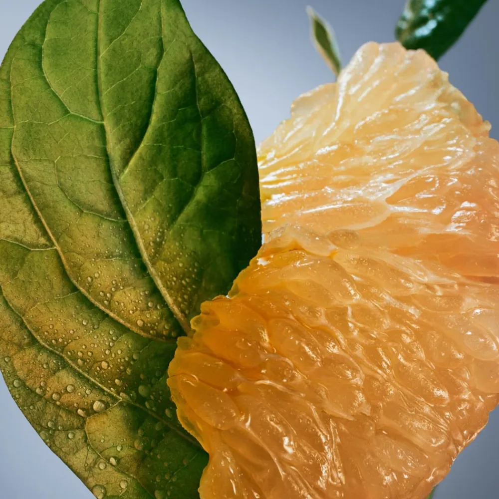 Outlet Herren Düfte·Eau De Parfum Spray