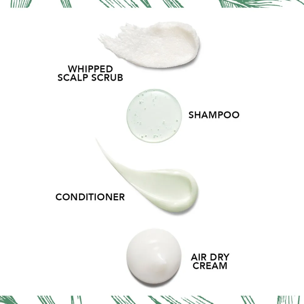 Clearance Shampoo·Hair Care