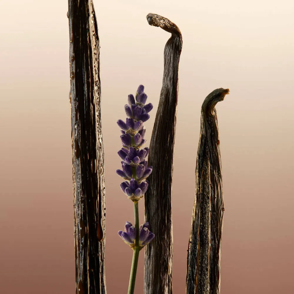 Clearance Damen Duschpflege·Shower Gel