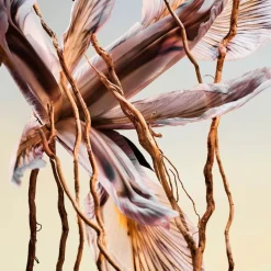 Discount Herren Düfte·Eau De Parfum Spray