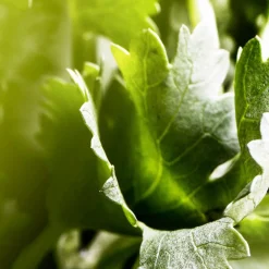 Discount Herren Düfte·Eau De Parfum Spray