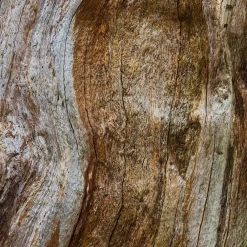 Discount Herren Düfte·Eau De Parfum Spray