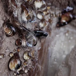 Discount Herren Düfte·Eau De Parfum Spray