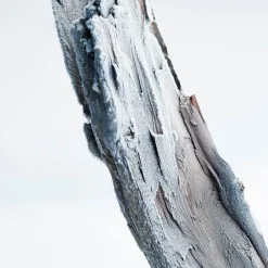 Outlet Herren Düfte·Eau De Parfum Spray