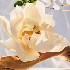 Outlet Damen Düfte·Eau De Parfum Spray