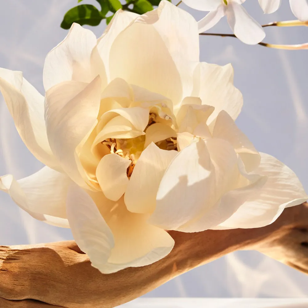 Outlet Damen Düfte·Eau De Parfum Spray