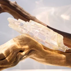 Outlet Damen Düfte·Eau De Parfum Spray