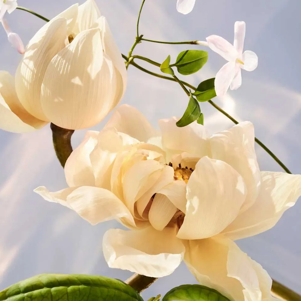 Outlet Damen Düfte·Eau De Parfum Spray