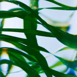 Hot Handpflege·Handpflege