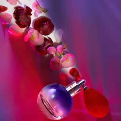 Damen Düfte·Parfum