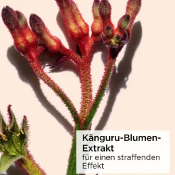 Hot Augenpflege·Augenpflege