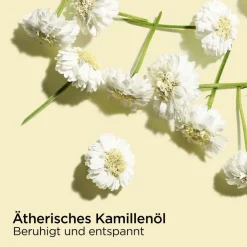 Discount Pflege·Body Oil