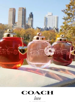 Clearance Damen Düfte·Eau De Parfum Spray