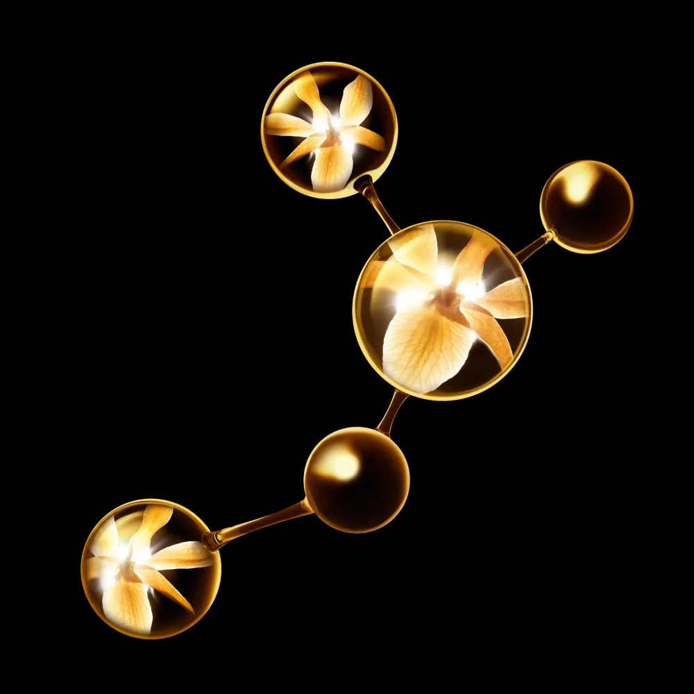 Online DAS ULTIMATIVE SERUM: REGENERIERT UND STÄRKT DIE HAUTDICHTE Serum & Kur ·Serum