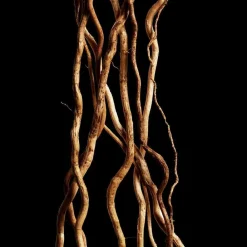 New Damen Düfte·Eau De Toilette Spray