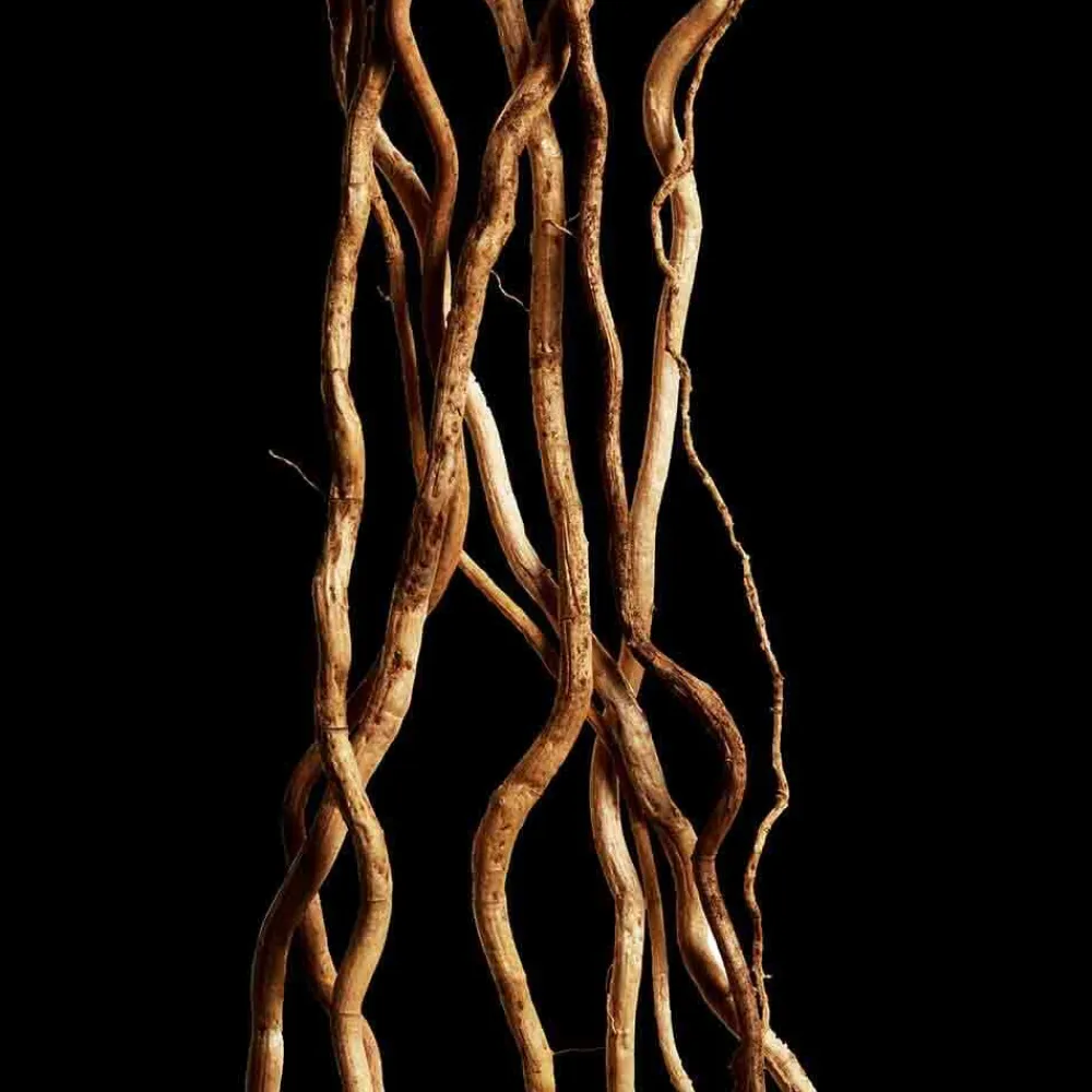 New Damen Düfte·Eau De Toilette Spray