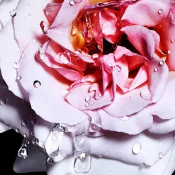 New Damen Düfte·Eau De Toilette Spray