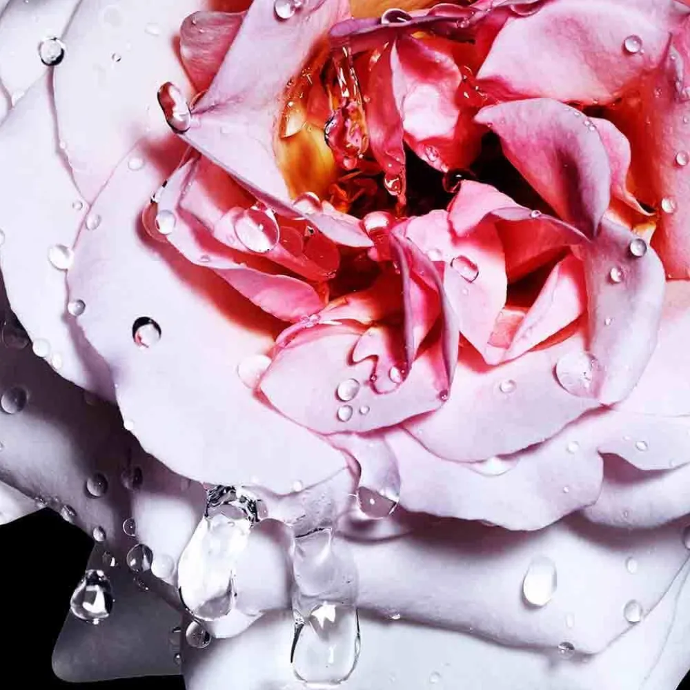 New Damen Düfte·Eau De Toilette Spray