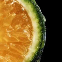 New Damen Düfte·Eau De Toilette Spray