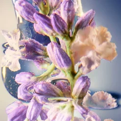 Discount Herren Duschpflege·Shower Gel