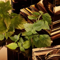 Hot Herren Düfte·Eau De Parfum Spray