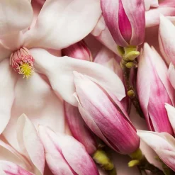 Online Damen Düfte·Eau De Parfum Spray