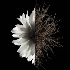 Clearance Pflege·Body Lotion