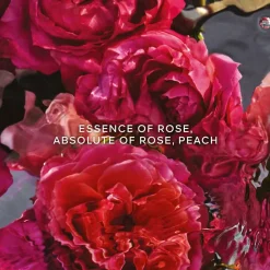 Damen Düfte·Eau De Parfum Spray