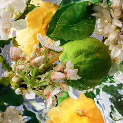 Sale Damen Düfte·Eau De Toilette Spray