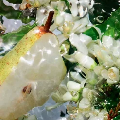 Hot Damen Düfte·Eau De Toilette Spray