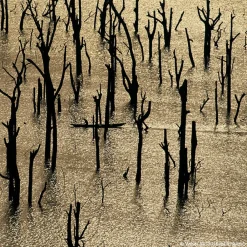 Discount Damen Düfte·Eau De Parfum Spray