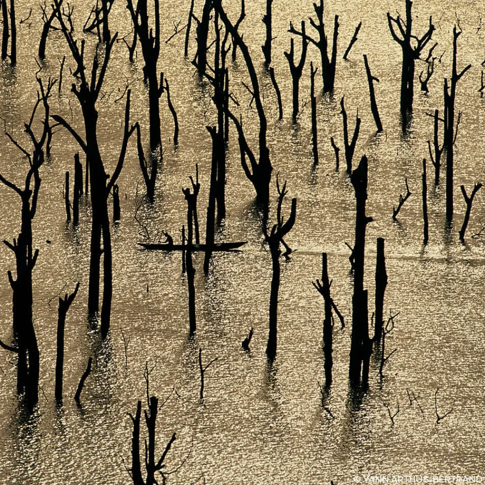 Discount Damen Düfte·Eau De Parfum Spray