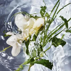 Hot Damen Düfte·Eau De Toilette Spray