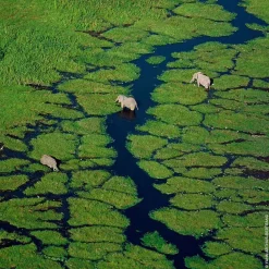 Hot Damen Düfte·Eau De Toilette Spray