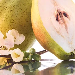 Outlet Damen Düfte·Eau De Parfum Spray