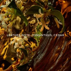 Outlet Damen Düfte·Eau De Parfum Spray