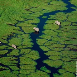 Discount Damen Düfte·Eau De Toilette Spray