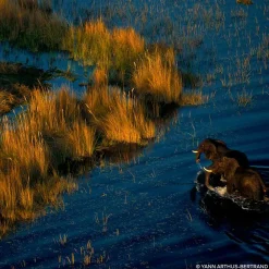 New Damen Düfte·Eau De Parfum Spray