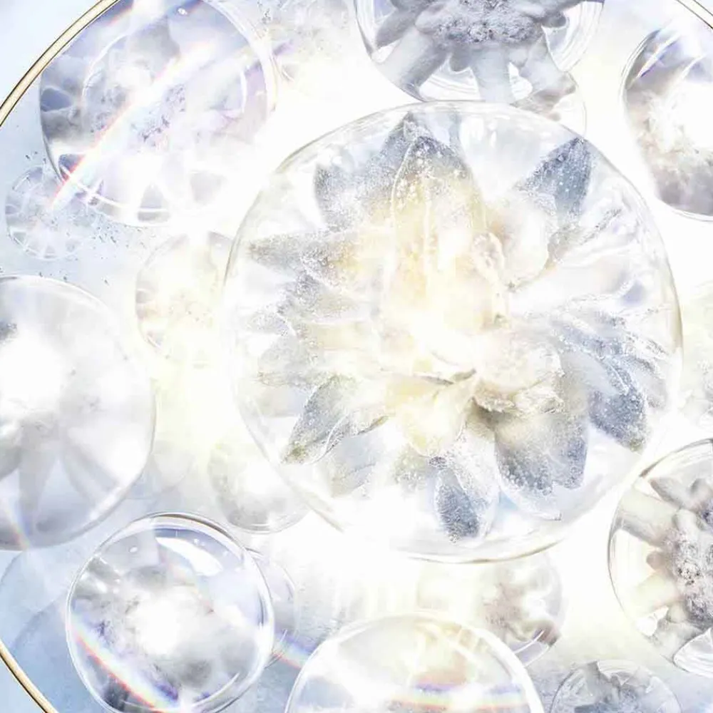 Best Augenpflege·Augenpflege