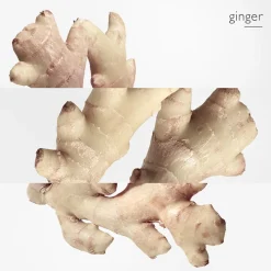 Clearance Damen Düfte·Eau De Parfum Spray