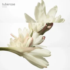 Clearance Damen Düfte·Eau De Parfum Spray