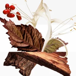 Hot Damen Körperpflege·Body Cream