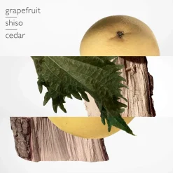 Herren Düfte·Parfum Spray