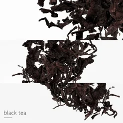 Online Damen Düfte·Eau De Parfum Spray