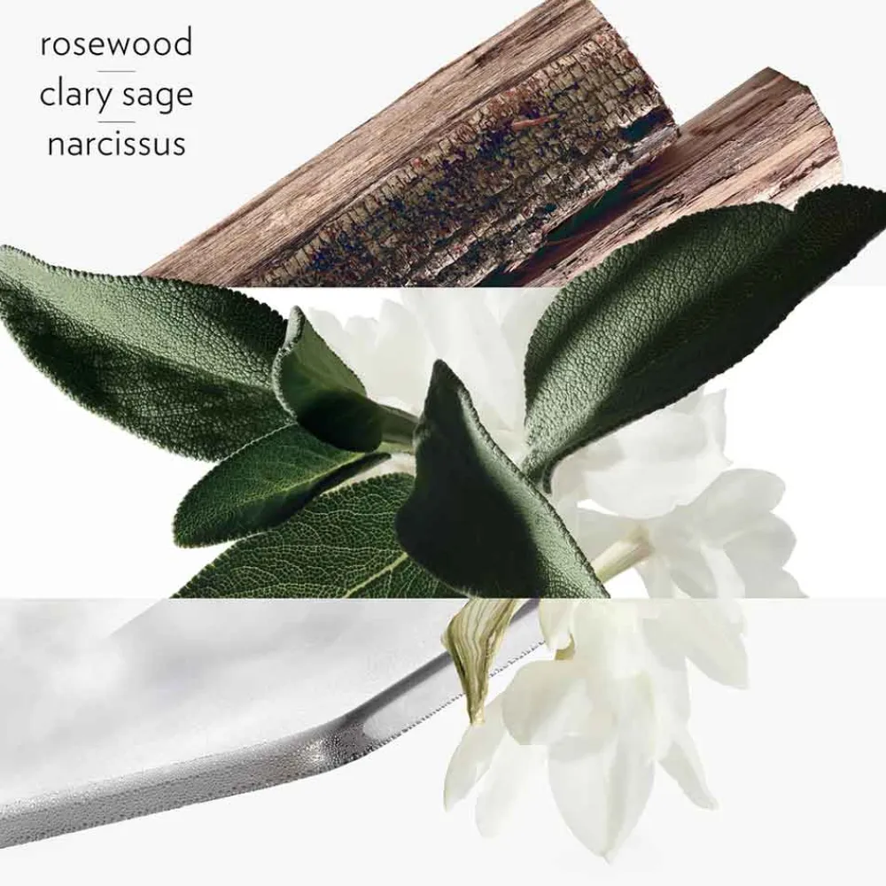 New Herren Düfte·Eau De Toilette Spray