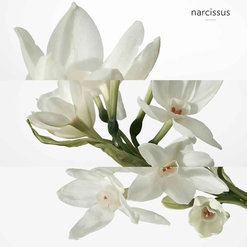 New Herren Düfte·Eau De Toilette Spray